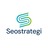 SEO Strategi