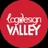 Logo Design Valley